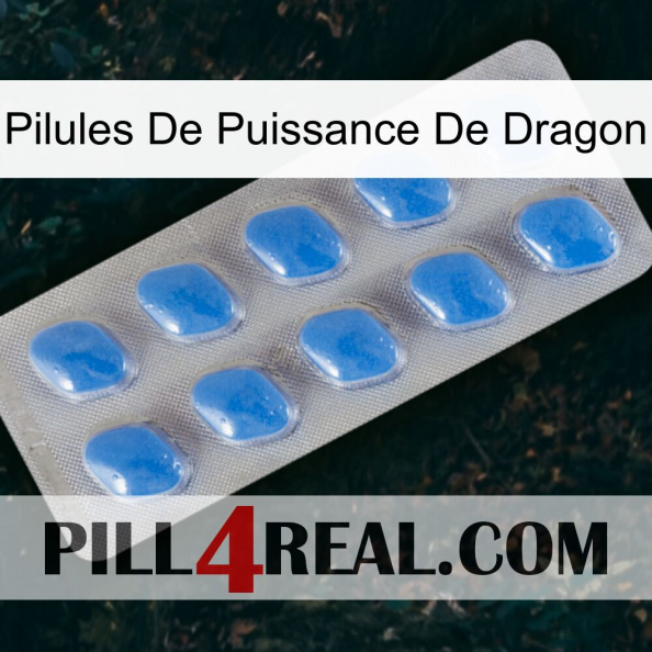 Dragon Power Pills 22.jpg